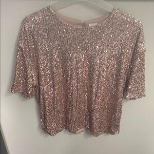 H&M Pink Sequin Crop T-Shirt